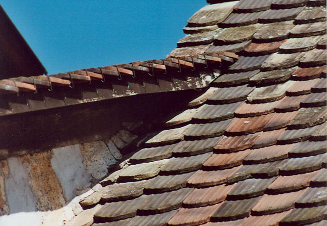 hornissennest 7 2002