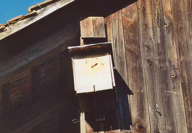 hornissennest 1 1989
