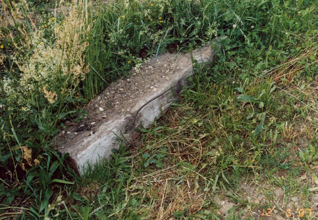 Hornissennest unter Eisenbahnschwelle