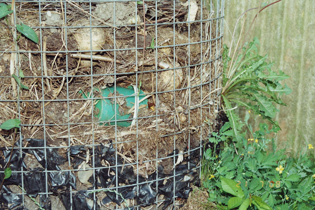 Hornissennest in Komposthaufen
