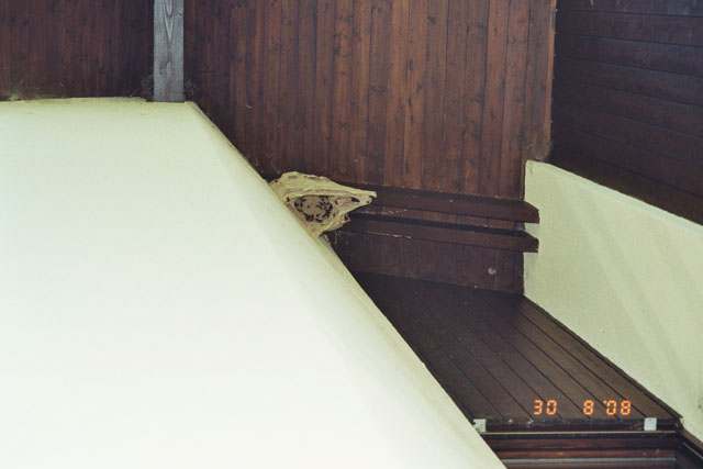 Hornissennest unter Dachvorsprung