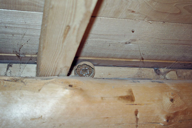 Hornissennestgrndung aus Stroh-Schlafhaus