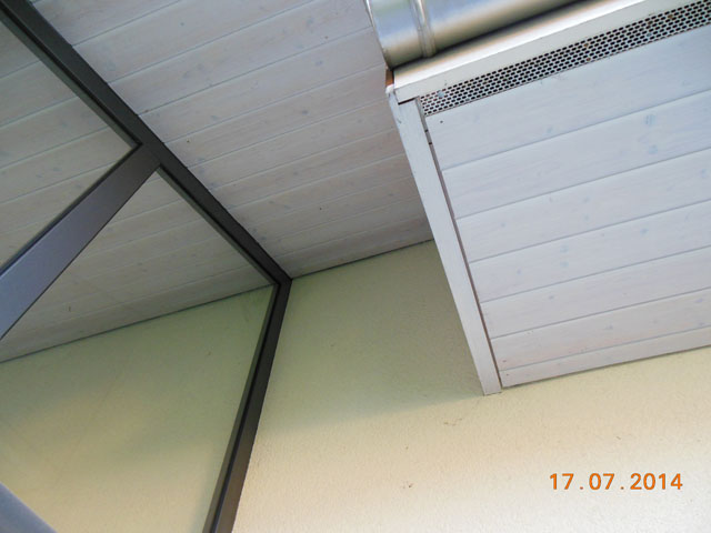Hornissennest in Zwischendach