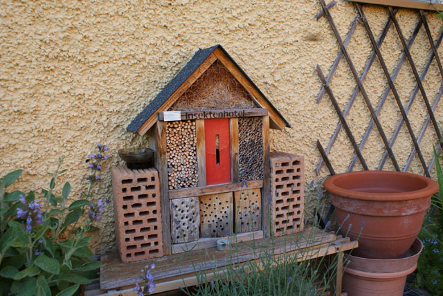 Hornissennestgrndung in Insektenhotel