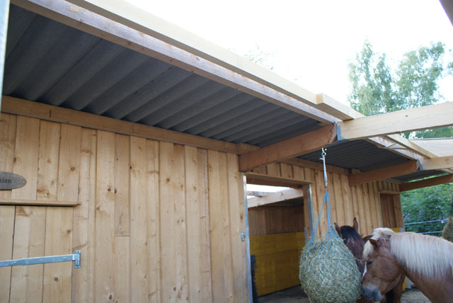 Hornissennest in Zwischenwand