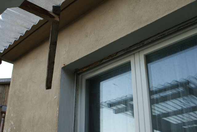 Hornissennest im Rollladenkasten