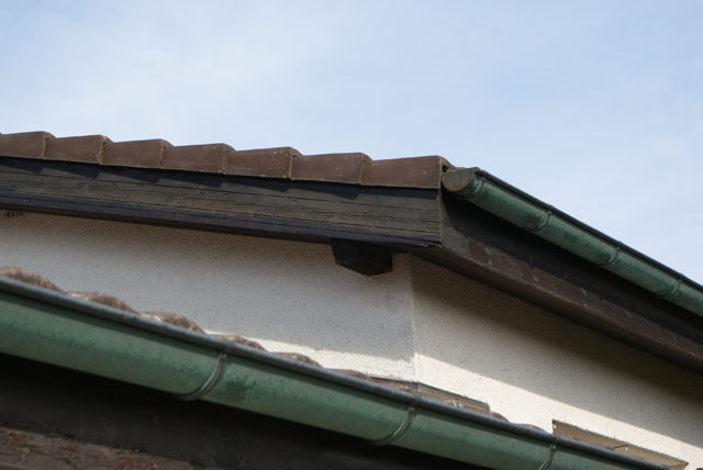 Hornissennest im Zwischendach