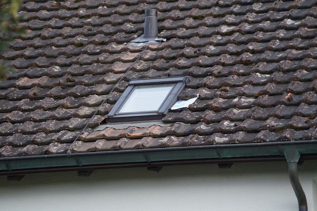 Hornissennest in Dachhohlraum