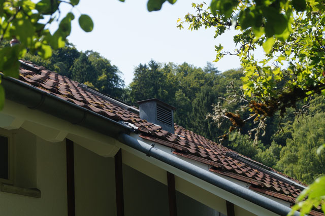 Hornissennest in Abluftschacht
