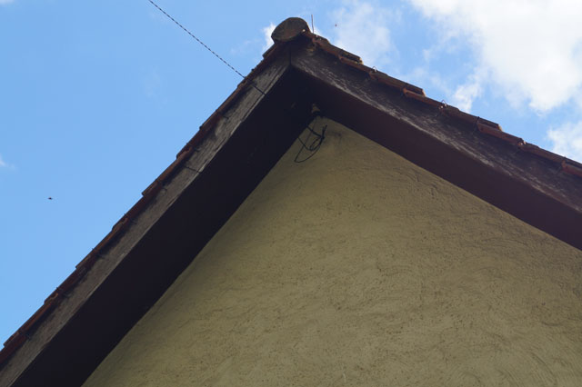 Hornissennest in Dachstock