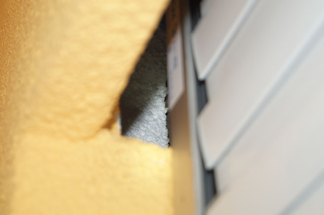 Hornissennest in Aussenisolierung