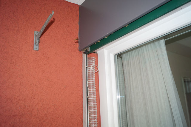 Hornissennest aus Rollladenkasten umgesiedelt