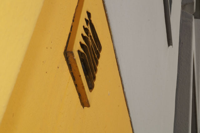 Hornissennest in Dampfabzug