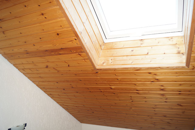 Hornissennest im Zwischendach