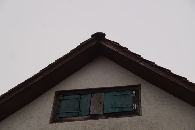 Hornissennest in Estrich