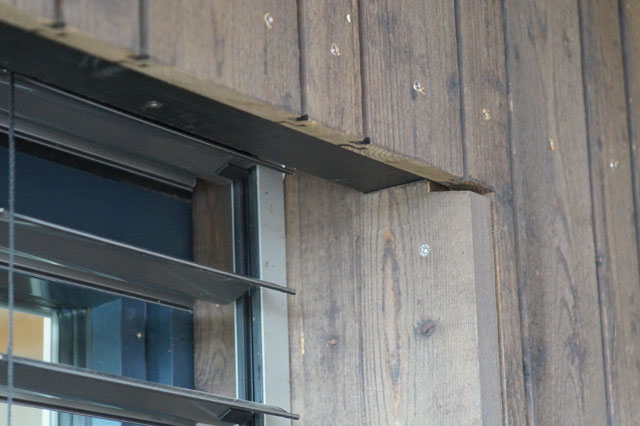 Hornissennest in Storennische
