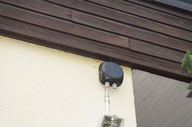 Hornissennest in Dachverkleidung