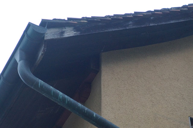 Hornissennest in Dachzwischenraum