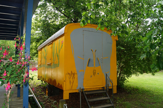 Schsische Wespe in Bauwagen