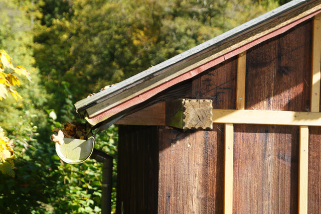 Deutsche Wespe unter Bienenhausdach