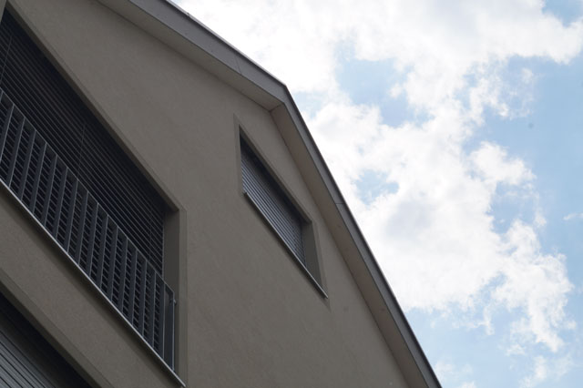 Deutsche Wespe in Aussenisolation