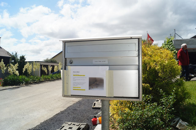 Haus-Feldwespe aus Briefkasten umquartiert