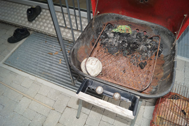 Schsische Wespe aus Grill umgesiedelt