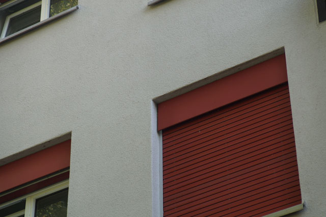 Gemeine Wespen in Faltrollladenschacht