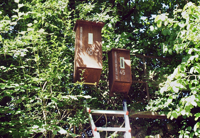 hornissenkasten48 im einsatz neben nummer 45: 2011 Hornissenkasten48 im Einsatz neben Nummer 45: 2011